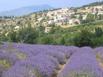 Logis Le Relais Du Mont Ventoux - Hotel