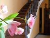 Logis Hotel Bellevue - Hotel
