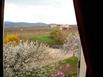 Hotel des Vignes - Le calme au coeur des vignes - Hotel