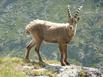 Les Glires - Champagny-en-Vanoise - Hotel