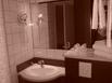 INTER-HOTEL Hlios - Roanne - Hotel