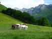 Auberge Cavalire - Hotel