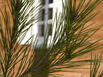 Relais du Silence La Villa Vicha - Hotel